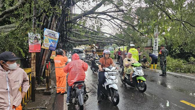 Hujan Lebat Depok: Pohon Tumbang Tutupi Jalan Utama, Mobil Ringsek