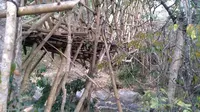 Foto: Jembatan titian bambu yang dibangun darurat oleh warga desa di Manggarai Timur, NTT (Liputan6.com/Yopie Moon)