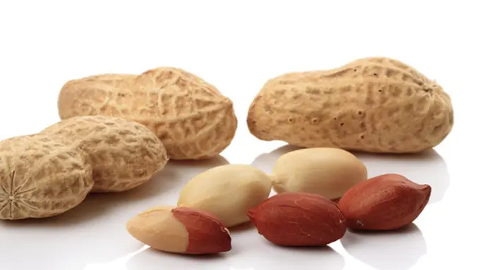 Foto: copyright Thinkstockphotos.com