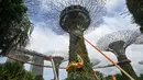 Derek mengangkat bagian-bagian dari struktur naga yang dipasang sebagai persiapan untuk Tahun Baru Imlek mendatang di sekitar jalur pengamatan hutan Supertrees di Gardens by the Bay, Singapura, pada tanggal 15 Januari 2024. (Roslan RAHMAN/AFP)