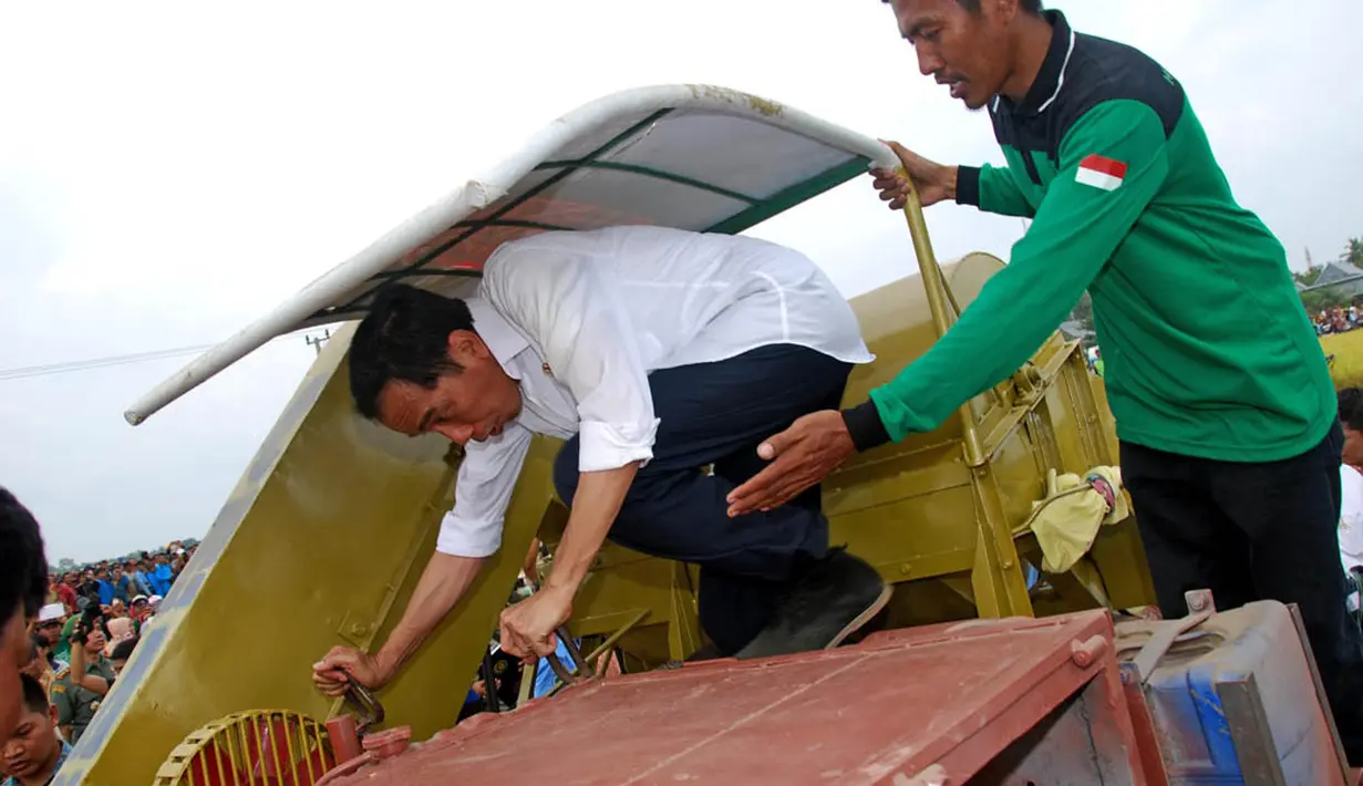 Presiden Jokowi mencoba mengoperasikan mesin panen padi buatan warga setempat, Faizal Chandoe di Kabupaten Pinrang, Sulawesi Selatan, Rabu (5/11/2014). (Rumgapres/Agus Suparto) 
