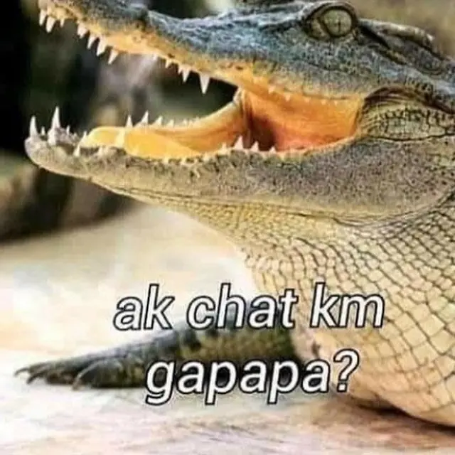 meme buaya darat