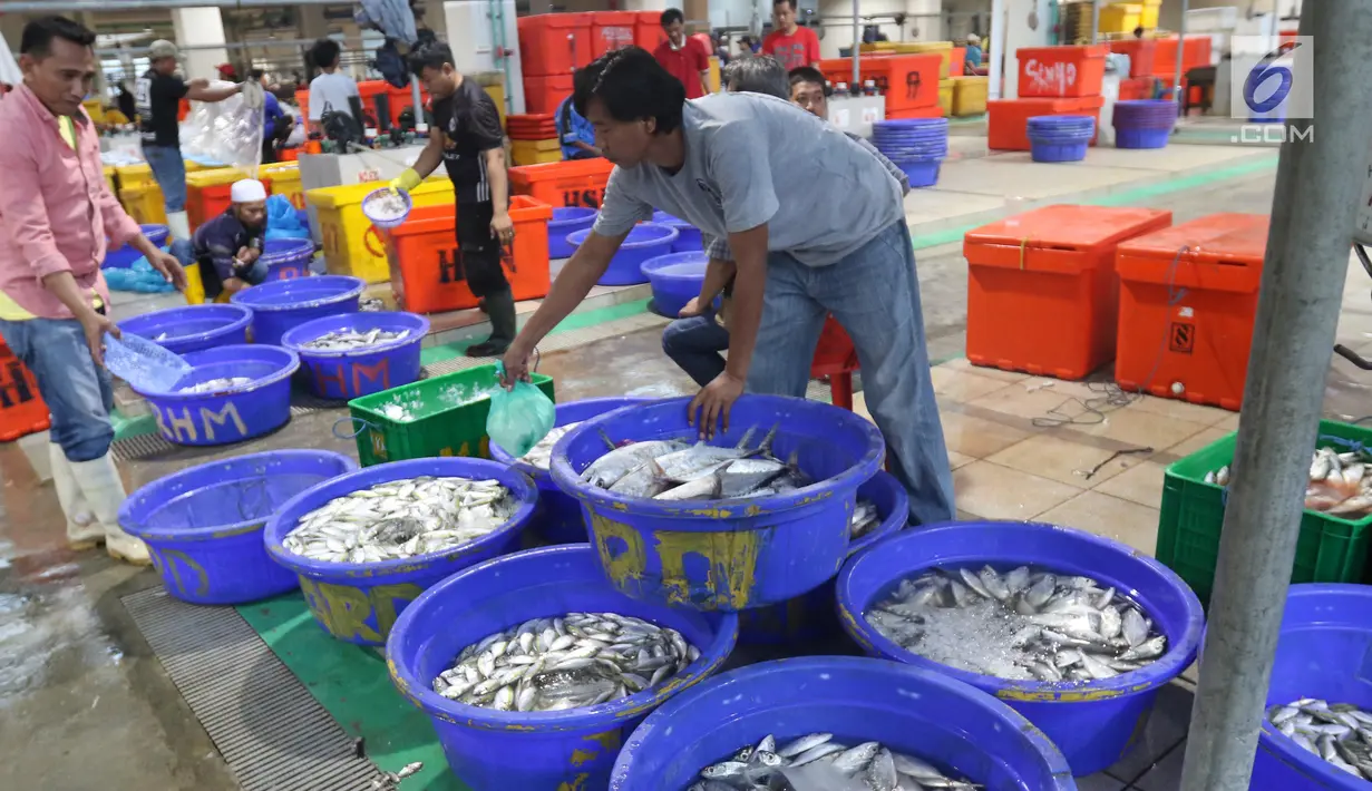 Pedagang menata ikan di Pelelangan ikan Muara Baru, Jakarta, Sabtu (6/7/2019). Berdasarkan data Kementerian Kelautan dan Perikanan, selama semester I-2019 nilai ekspor produk perikanan Indonesia mencapai Rp40 triliun. (Liputan6.com/Angga Yuniar)