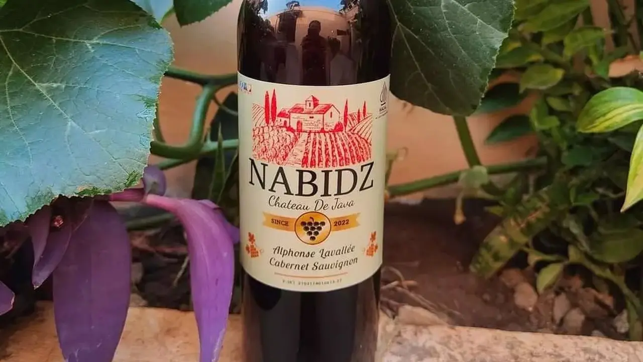 Nabidz Anggur