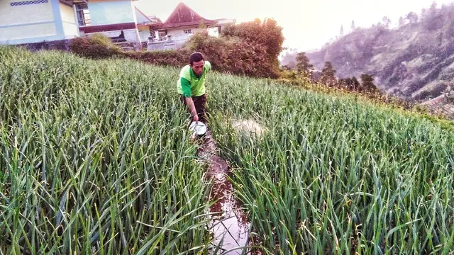 Kementan