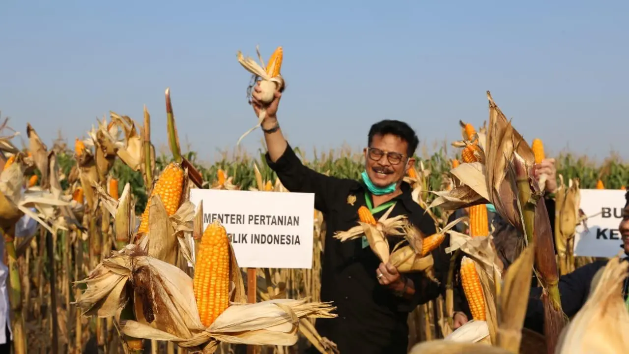 Menteri Pertanian Syahrul Yasin Limpo.