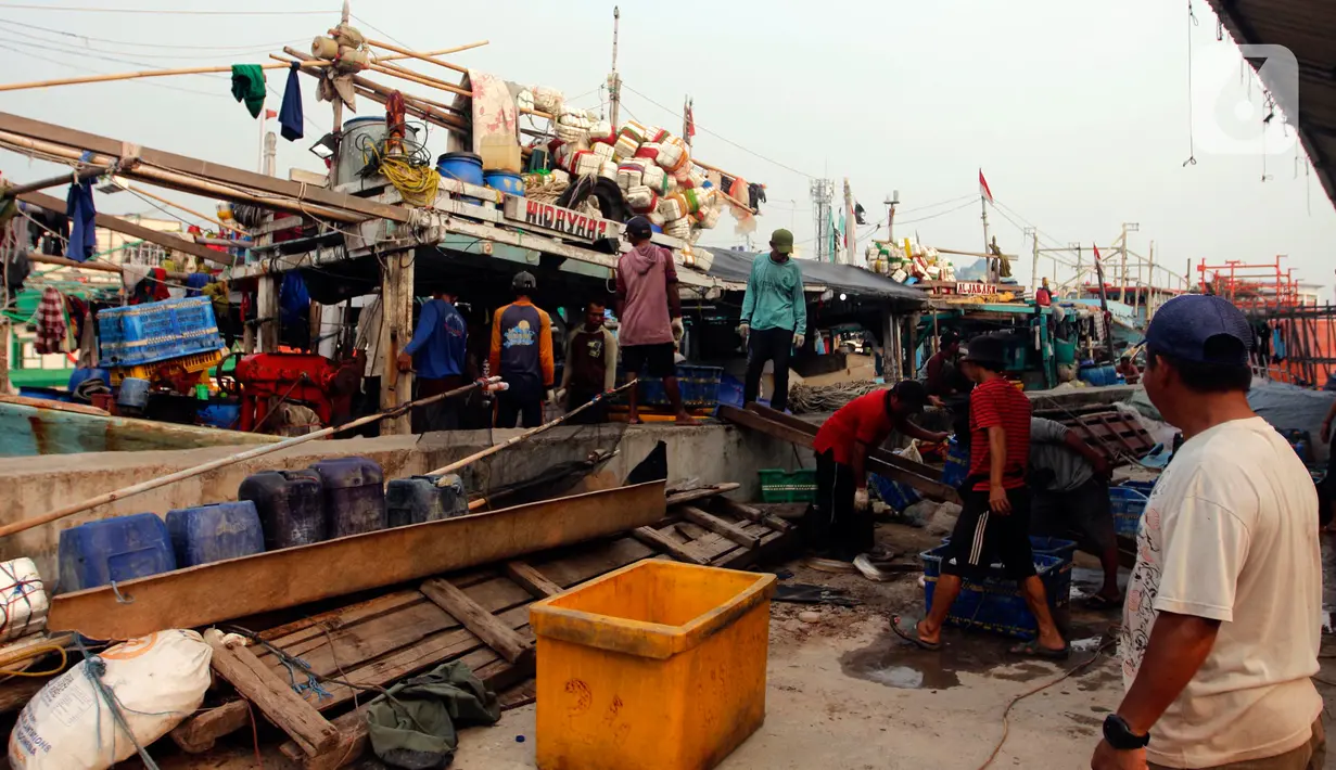 PT Perikanan Indonesia sudah mengantongi permintaan ekspor setiap bulan untuk komoditas ikan tuna loin, cakalang, gurita dan ikan layang. (Liputan6.com/Johan Tallo)