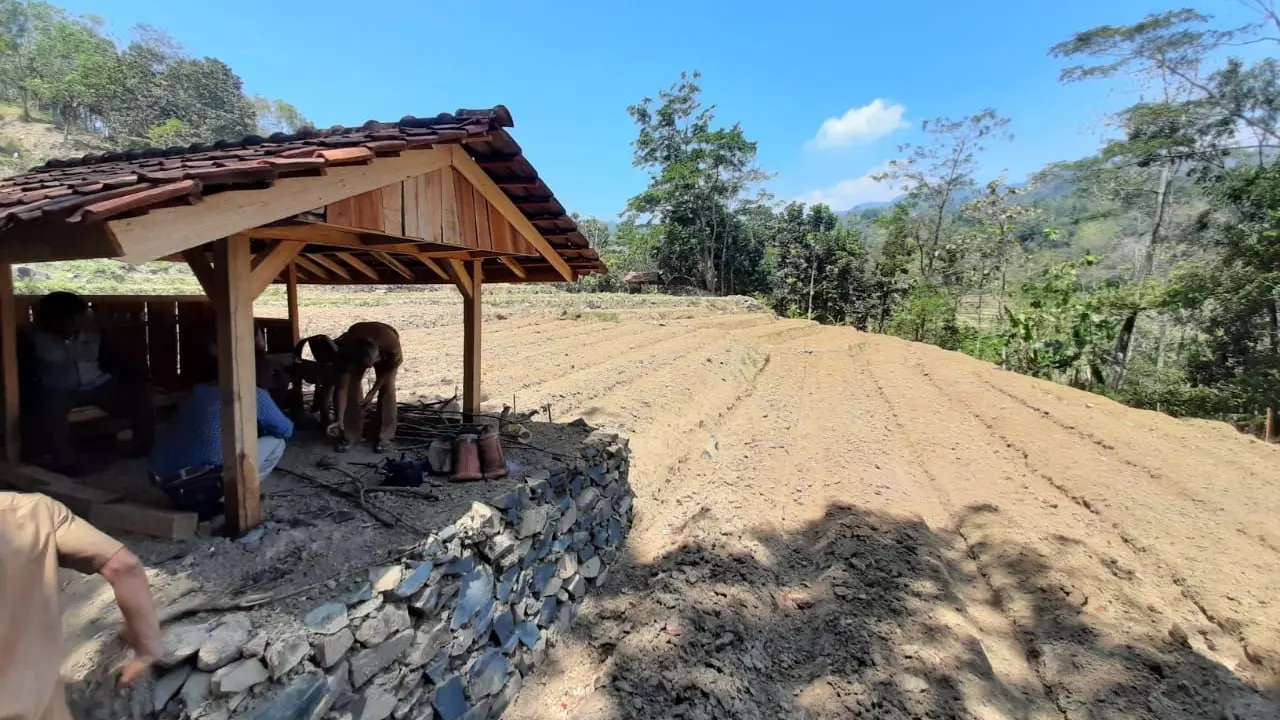Kabupaten Kuningan sangat pontensial dalam pengembangan tanaman porang. Porang yang dalam bahasa lokal di kuningan dikenal dengan Badul.