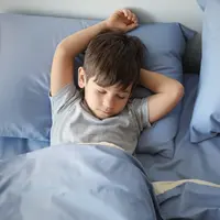 Ilustrasi/copyright shutterstock.com/Africa Studio