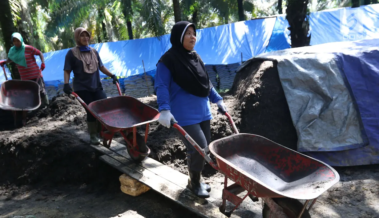 Pekerja dari kelompok tani mekar jaya binaan PT Wirakarya Sakti unit forestry APP Sinarmas bersiap mengangkut pupuk kompos di Kab Tanjung Jabnung Barat, Jambi, Kamis (3/5). Usaha pupuk kompos tersebut beromzet 1 miliar. (Liputan6.com/Angga Yuniar)
