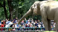 Jokowi: Meski Binatang, Kelihatan Mukanya Tak Senang di Ragunan