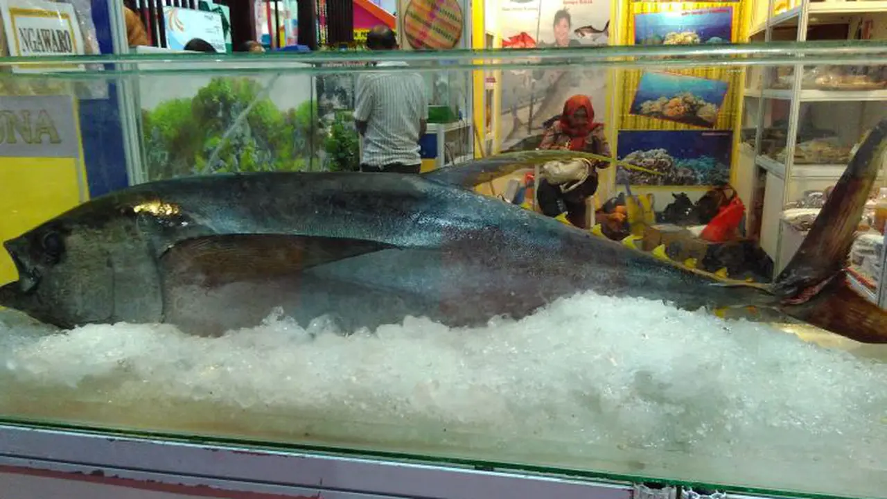 Ikan tuna sirip kuning dalam acara 12th Indonesia Investment Week 2016. 