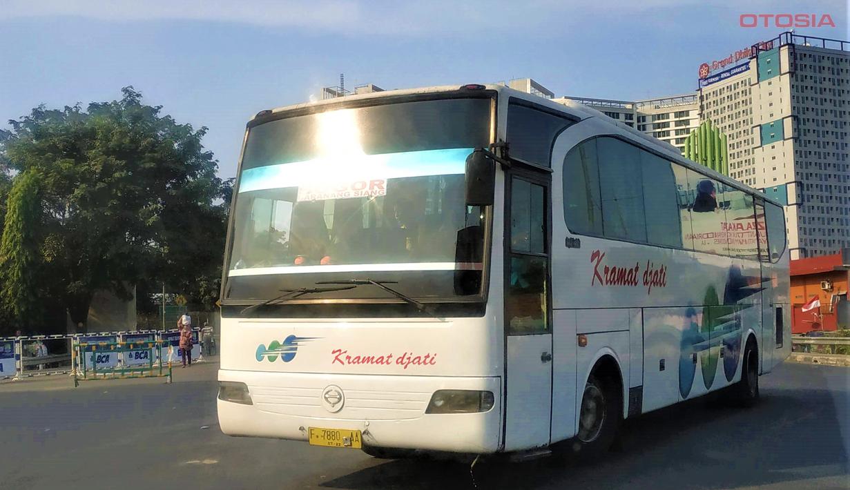 Saat ini karoseri Adi Putro terkenal dengan Jetbus yang merupakan produk bus unggulan mereka. Namun dahulu, Karoseri asal Kota Malang ini pernah membuat model bus ala Eropa yang diberi nama Travego. Bus ini belum termasuk bus High Deck dan memiliki desain sederhana dengan lampu depan bohlam yang menyipit dan lampu belakang berbentuk segi panjang yang bertumpuk keatas. Walaupun lawas namun bus ini tetap enak dipandang.
