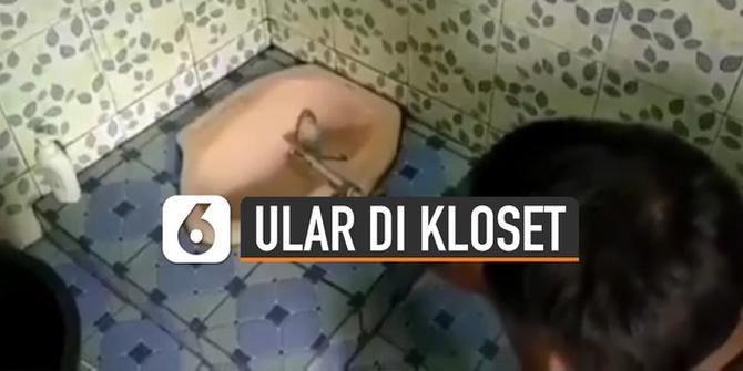 VIDEO: Ngilu, Detik-Detik Penangkapan Ular Di Dalam Kloset