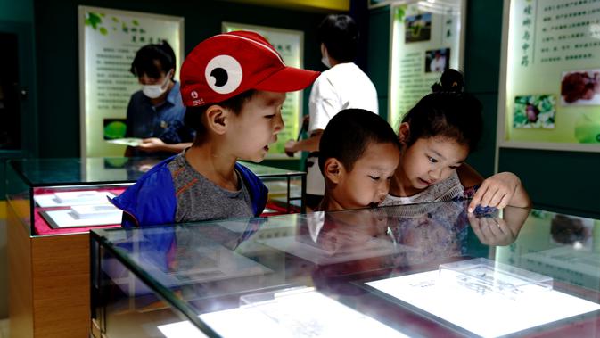 Anak-anak mengunjungi Museum Entomologi Shanghai di Shanghai, China timur (24/8/2020). Selama Festival Sains Shanghai yang berlangsung dari 23-29 Agustus, Museum Entomologi Shanghai akan menyuguhkan livestreaming tentang sains, pengalaman interaktif. (Xinhua/Zhang Jiansong)