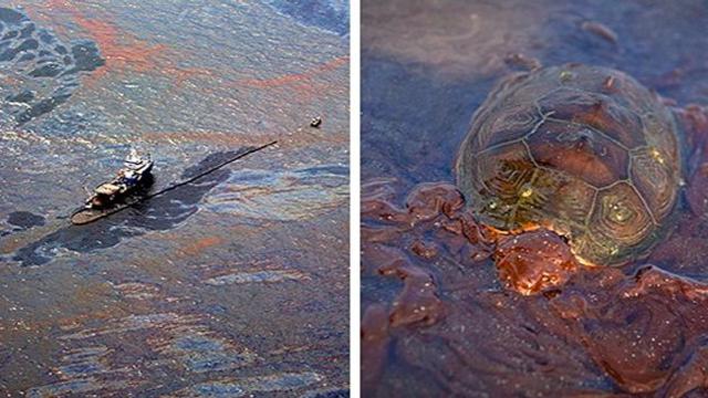 Minyak tumpah di perairan