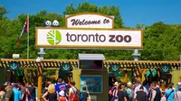 Kebun Binatang Toronto baru saja dikaruniai Badak langka yang menggemaskan. Foto: Expedia.com