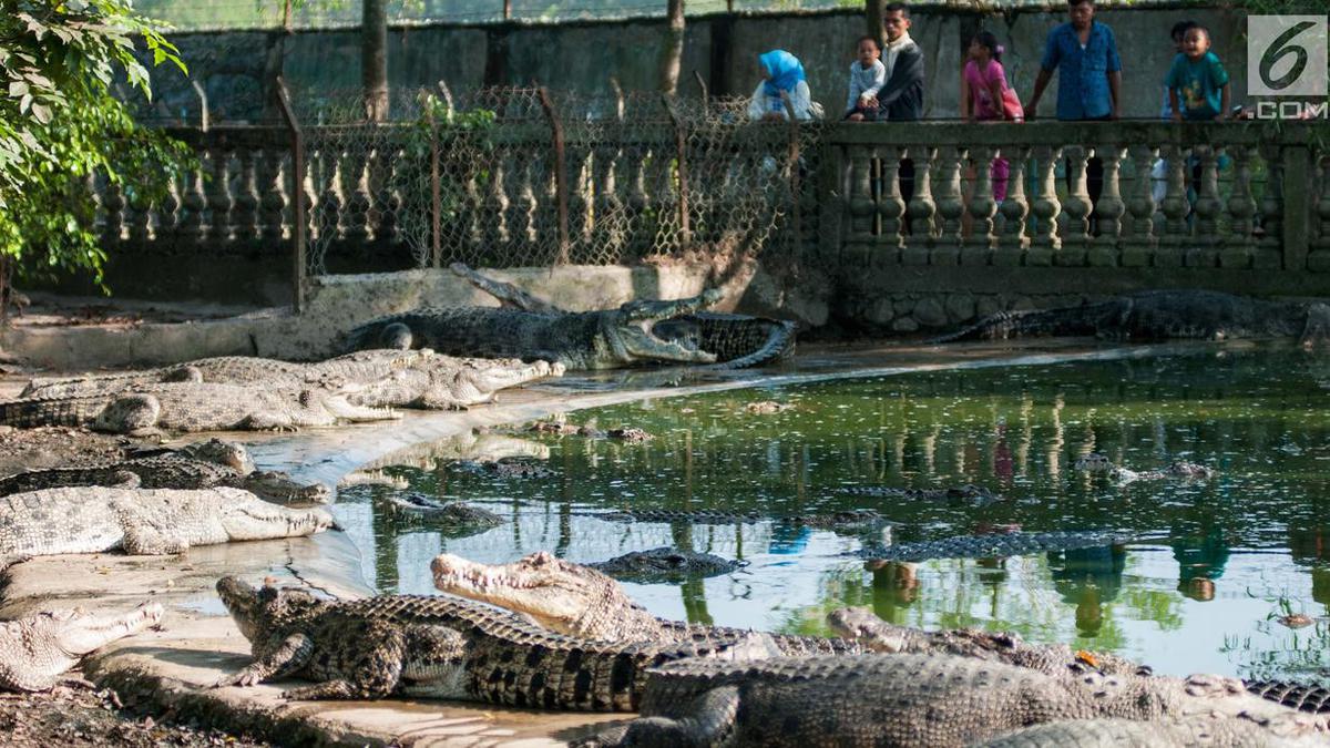 12 Destinasi Wisata Cikarang Terbaik yang Wajib Dikunjungi