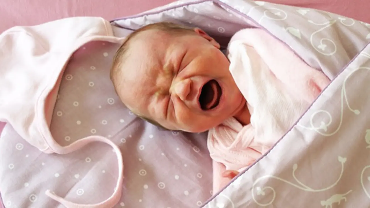 Photo: Copyright Thinkstockphotos.com