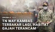 Karhutla Way Kambas Meluas, Api Ancam Jalur Perlintasan Gajah