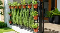 7 Ide Desain Kebun Mini Merambat di Pagar Besi Teras Depan Rumah yang Asri dan Fungsional