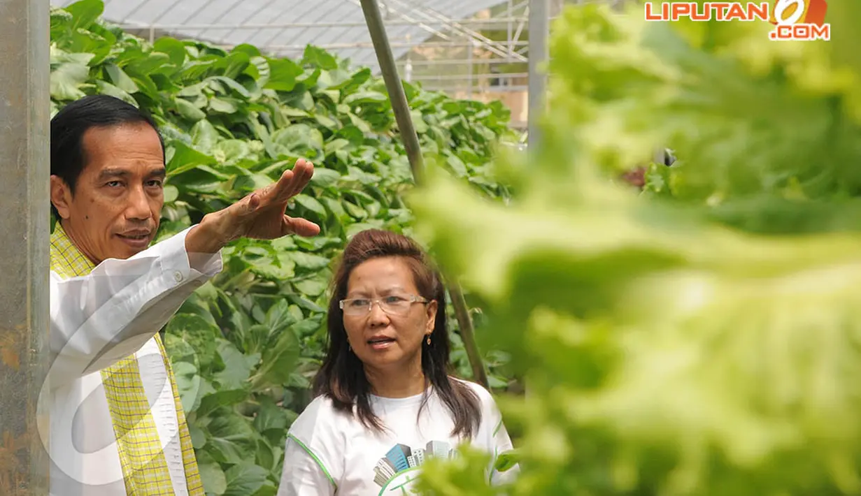 Pembangunan rumah hidroponik itu dibiayai dari kantong pribadi Gubernur DKI Jakarta Joko Widodo bukan dari APBD, Jakarta, Jumat (11/4/2014) (Liputan6.com/Herman Zakharia).