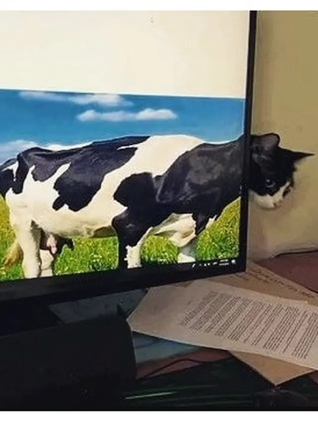 Gambar Nyeleneh Ini Bikin Orang Berfikir Dua Kali, Kocak Abis