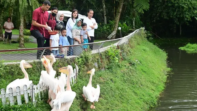 Presiden Joko Widodo dan keluarga menikmati libur Lebaran di The Hill Hotel and Resort, Kabupaten Deli Serdang, Sumatra Utara pada Sabtu (13/4/2024). (Biro Pers Sekretariat Presiden RI)