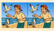 Temukan 3 Perbedaan Menarik dalam Dua Gambar. (Sumber: timesofindia.indiatimes)