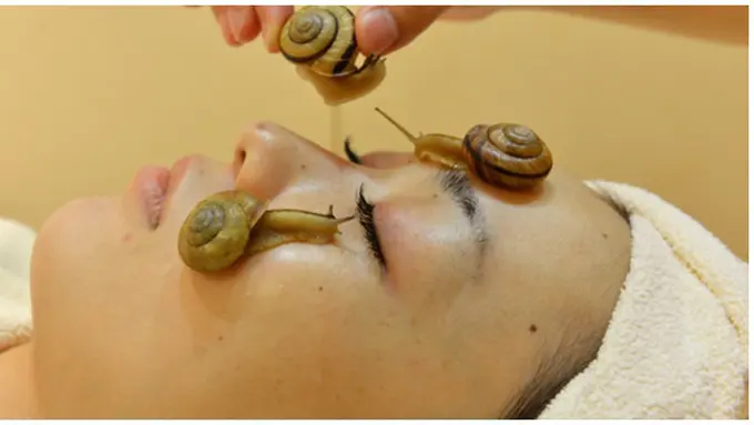 Foto: copyright whenonearth.com