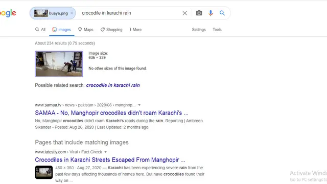 Hasil penelusuran Google Image buaya