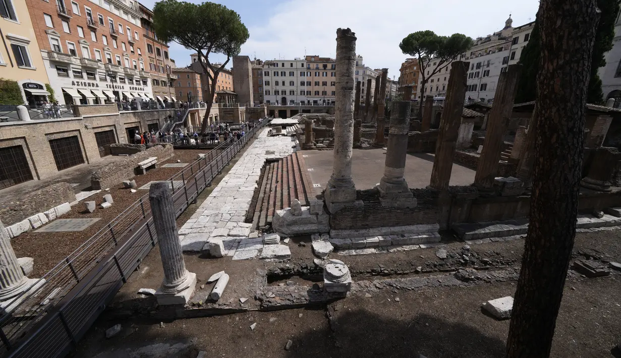 Dari jalan setepak, pengunjung bisa melihat fondasi dan bagian dari dinding yang diyakini para arkeolog sebagai bagian dari Pompey's Curia, sebuah bangunan yang berfungsi sebagai gedung sementara Senat Romawi saat Caesar dibunuh. (AP Photo/Domenico Stinellis)
