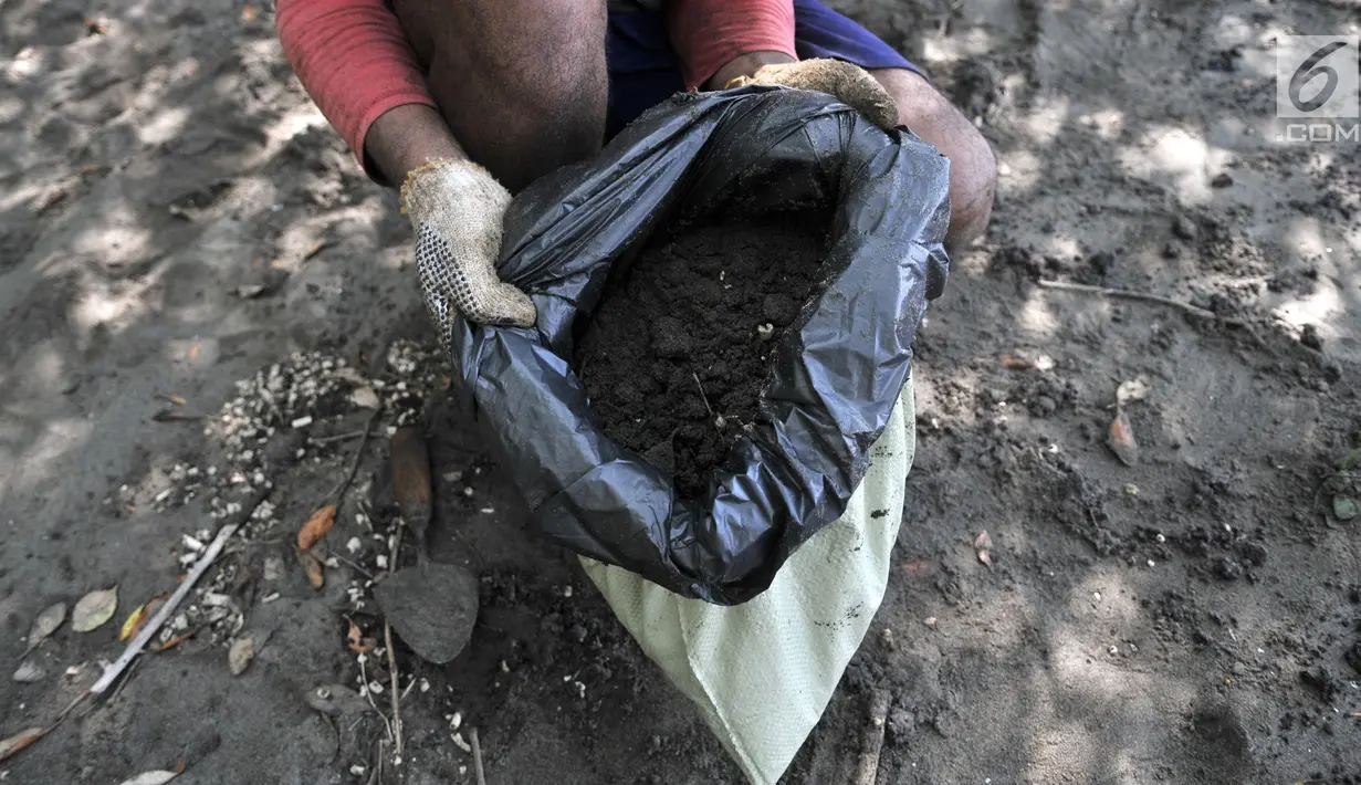 Nelayan menunjukkan tumpahan limbah minyak (oil spill) yang mencemari Pantai Muara Beting, Muara Gembong, Bekasi, Jawa Barat, Minggu (28/7/2019). Sudah empat hari nelayan Muara Gembong beralih profesi menjadi pengepul oil spill yang mencemari pantai. (merdeka.com/Iqbal Nugroho)