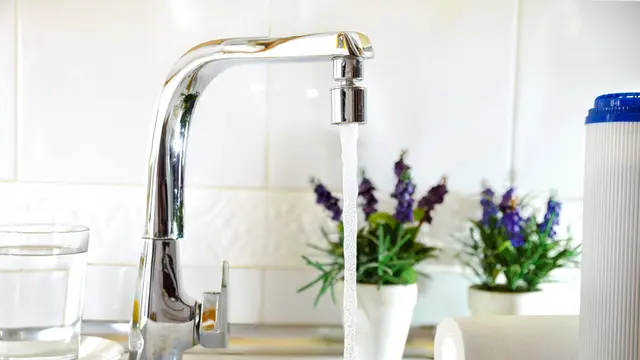 5 Tips Memasak Udang agar Tidak Bau Amis, Auto Lezat dan Bikin Nagih!