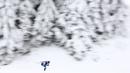 Serafin Wiestner dari Swiss berkompetisi dalam lomba lari sprint 10 km putra di Piala Dunia Biathlon di Oberhof, Jerman. (Foto: AP/Matthias Schrader)