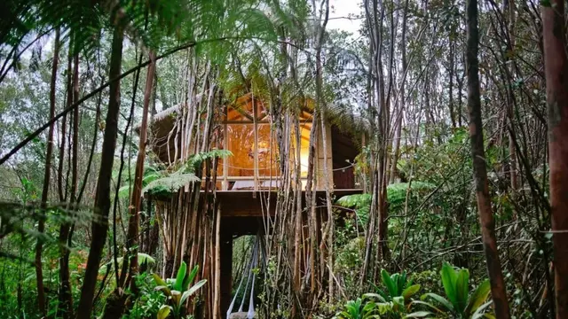 Berbaur dengan Alam, Ini 7 Rumah Pohon Terunik di Dunia