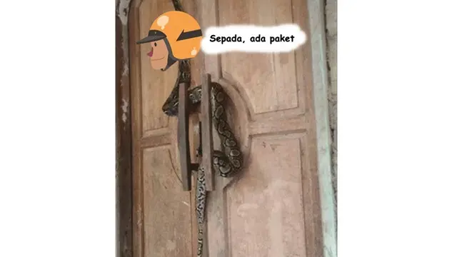 Potret 5 Hewan Diedit Jadi Kurir Ini Bikin Tepuk Jidat