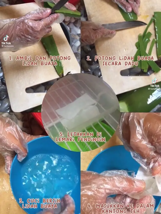 Tutorial dan Mengaplikasikannya