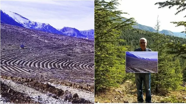 6 Potret Transformasi Orang Ketika Foto Bareng Pohon, Bertumbuh Bersama