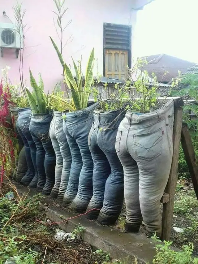 Kocak Abis, 6 Tanaman Ini Punya Pot Anti Mainstream yang Bikin Ngakak