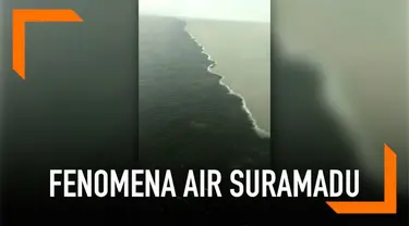 Sejumlah tim ahli dari ITS meneliti fenomena air yang terlihat berbeda di Suramadu.