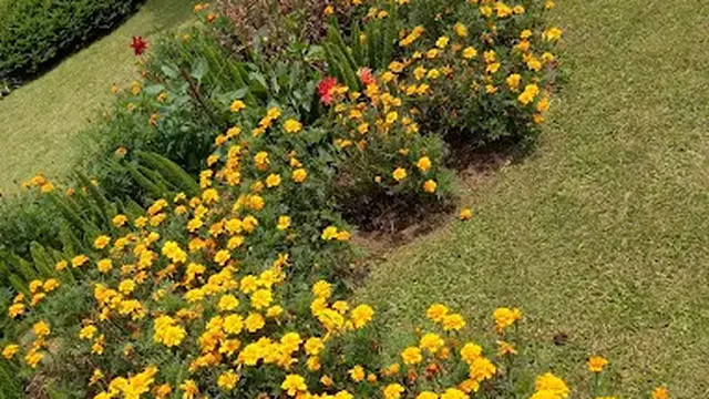 Grace Rose Farm