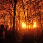 Lahan yang terbakar di Desa Baula, Kolaka, Sulteng, Selasa (6/9) malam. Kebakaran lahan diduga akibat pembukaan lahan liar yang dilakukan warga. (Antara)