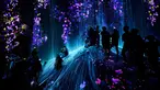 Pengunjung menyaksikan instalasi digital yang menampilkan proyeksi air terjun dan bunga di Museum Seni Digital Mori Building, Tokyo, 21 Juni 2018. Museum seluas 10.000 meter persegi ini banyak menampilkan seni digital mengagumkan. (AP/Shuji Kajiyama)
