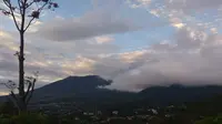 Suasana Gunung Gede Pangrango, Bogor, Jawa Barat. (Liiputan6.com/Achmad Sudarno)