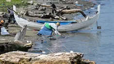 Para duta wisata Agam-Inong (laki-perempuan) membersihkan sampah plastik dan sampah lainnya yang terdampar di pantai selama kampanye di sebuah pantai di Banda Aceh pada 29 Oktober 2023. (CHAIDEER MAHYUDDIN/AFP)