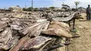 Daging hiu yang telah dipotong dijemur di Pantai Mballing, Dakar, Senegal (1/4/2016). Daging hiu biasanya dikonsumsi, dijual di pasar lokal, hingga diekspor ke negara tetangga. (AFP Photo/Seyllou)