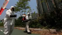 Hong Kong laporkan kasus pertama virus Zika (Reuters)