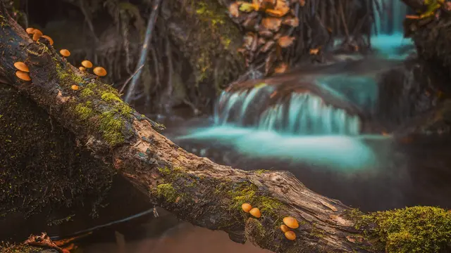 Arti Mimpi Melihat Mata Air yang Mendatangkan Kebahagiaan
