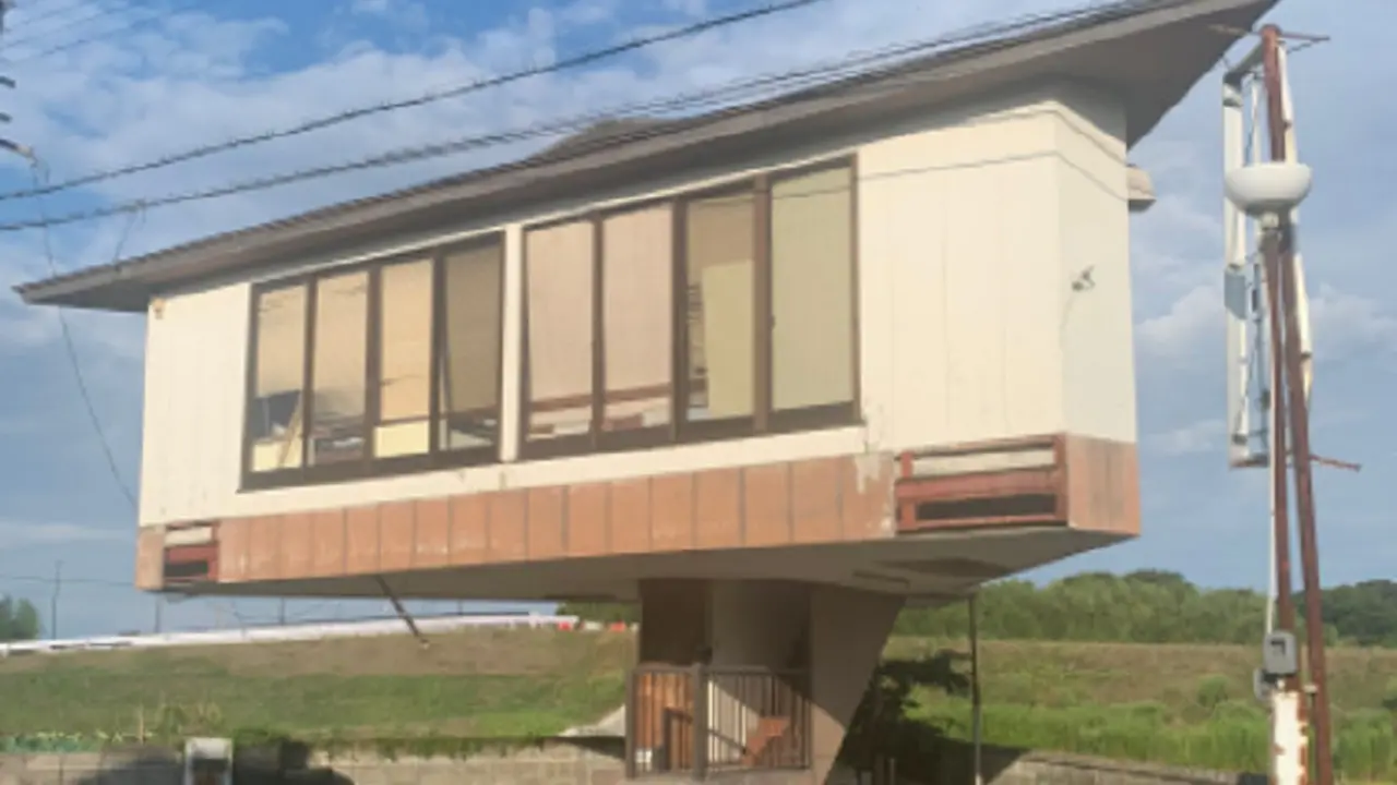 rumah jamur
